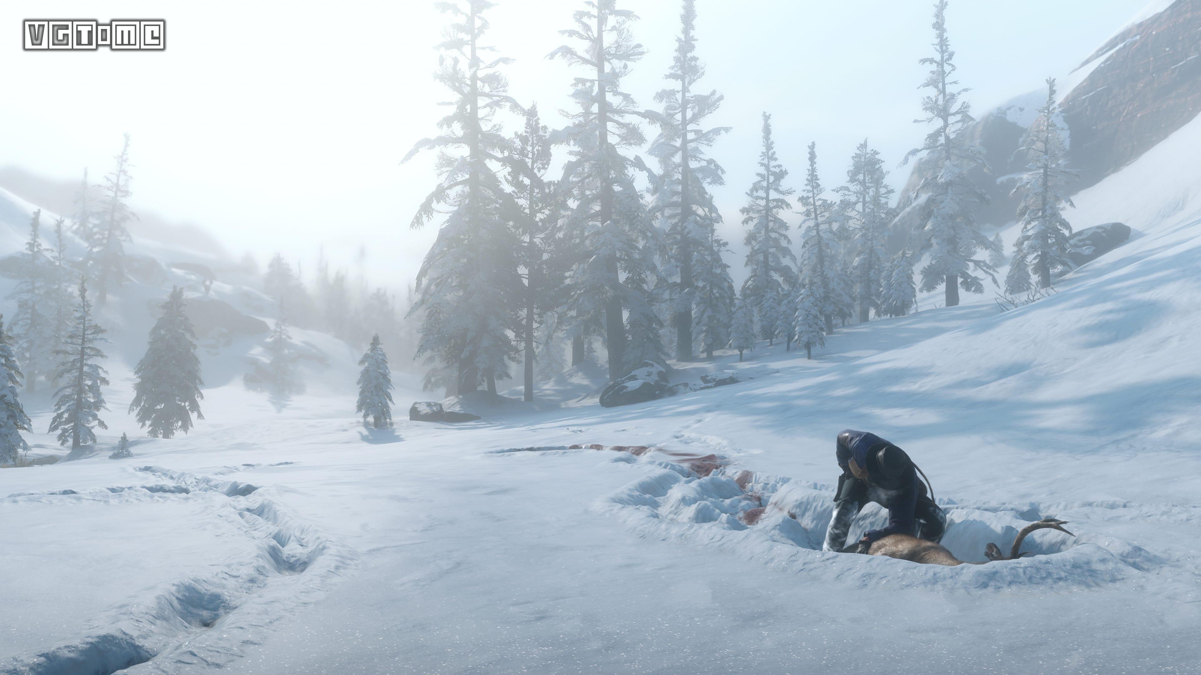 荒野大镖客2那些你不知道的细节,荒野大镖客2细思极恐的10个细节