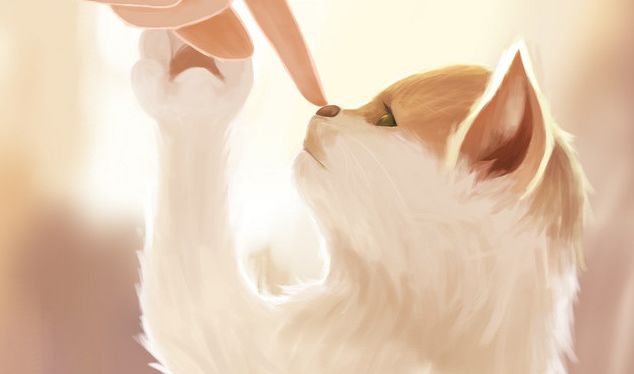 40岁女性莫名发烧,成年女性发烧38.8全身酸痛怎么办