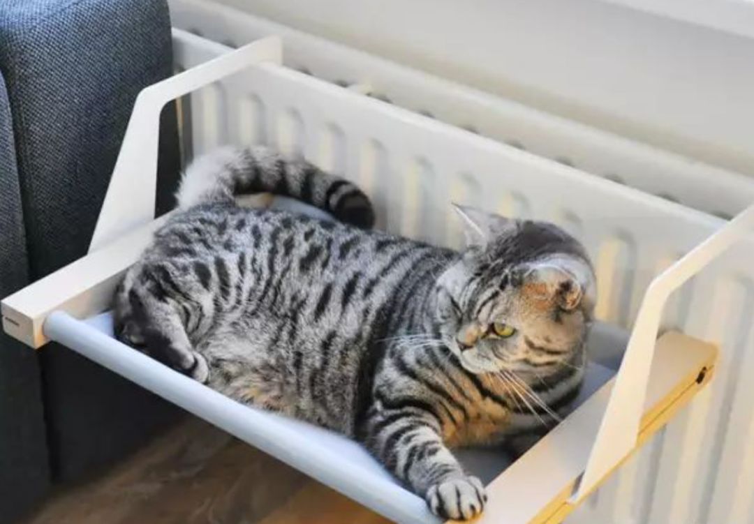 颠覆想象的生活懒人神器,真正的懒人神器