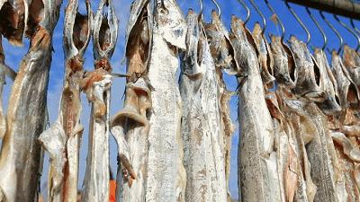 还在等什么！中国·普陀“舟山带鱼”宴寻找“锦带”！超多大奖独宠你一人！