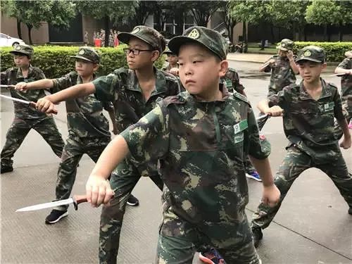 东莞报业夏令营,东莞雏鹰少年夏令营多少钱