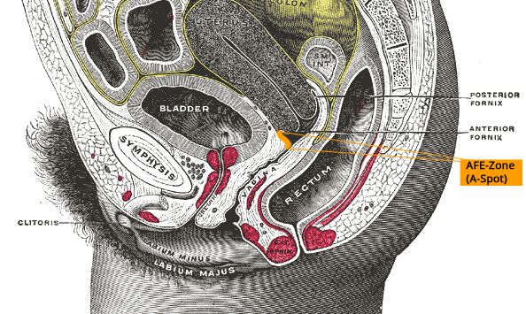 大力未必出奇迹,大力不一定出奇迹但一定解气