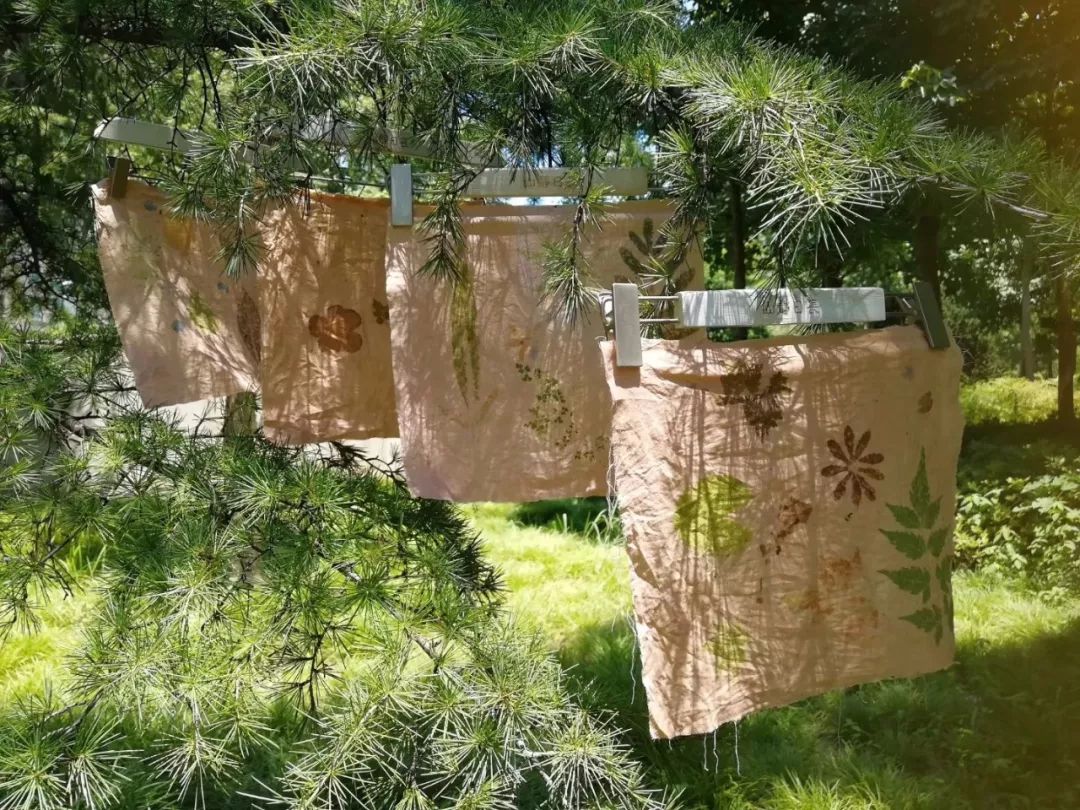 闲时赏花听歌静时看书喝茶,一处悠闲安静的好去处