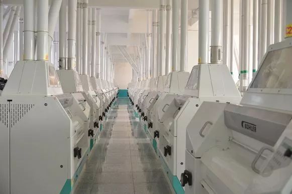 大名五得利面粉集团简历,大名县五得利面粉集团