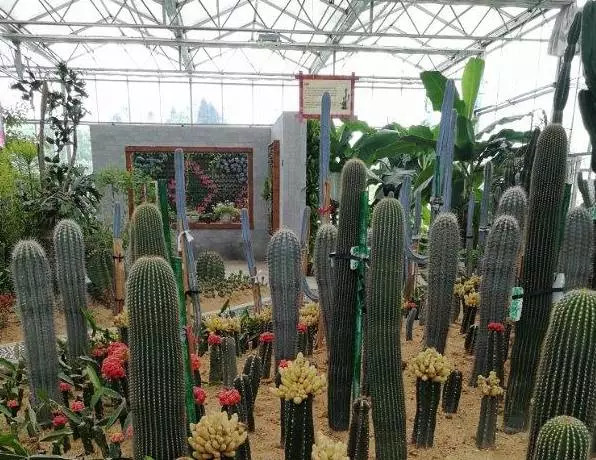 黔南3天旅游攻略,黔南荔波旅游攻略