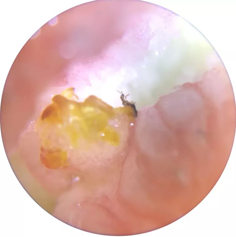 双12给宝宝囤的宝宝用品,双12什么东西适合宝宝囤