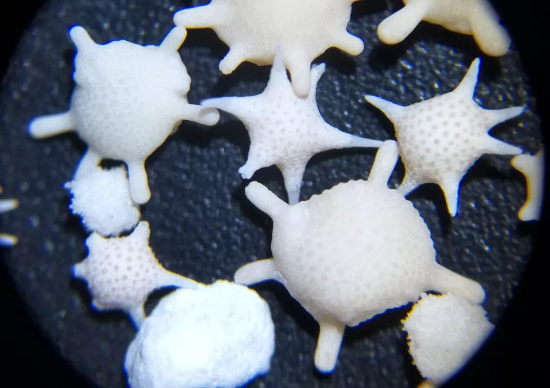 双12给宝宝囤的宝宝用品,双12宝宝必买清单