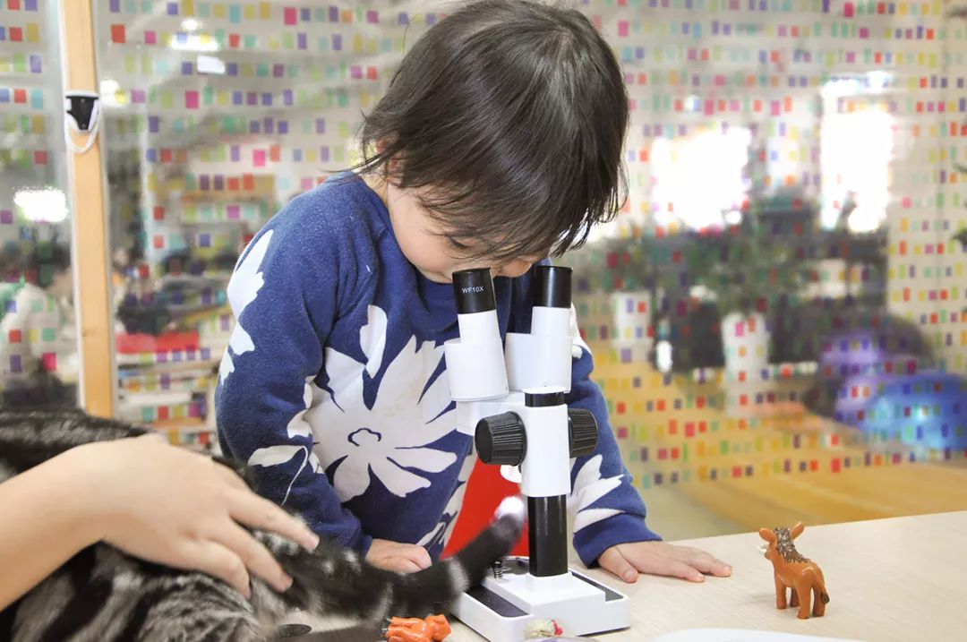 双12给宝宝囤的宝宝用品,双12什么东西适合宝宝囤