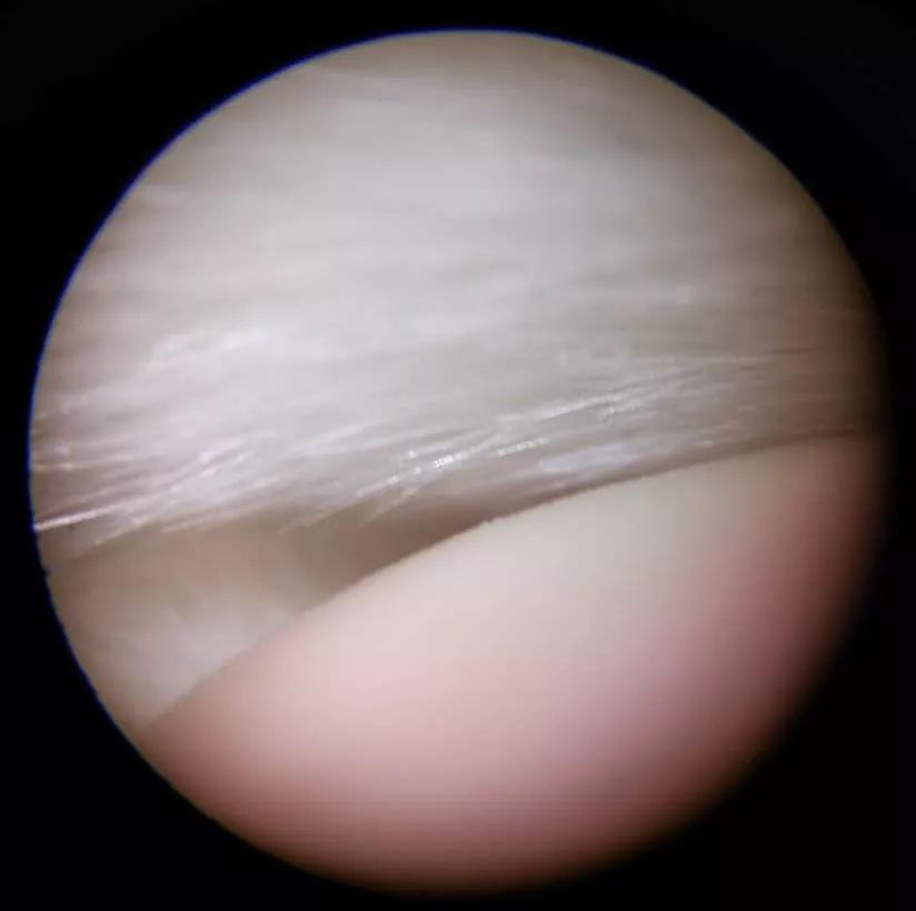 双12给宝宝囤的宝宝用品,双12什么东西适合宝宝囤