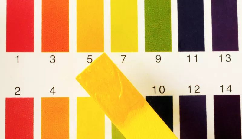 适合黑皮和黄皮的面膜,适合黄皮的mm面膜