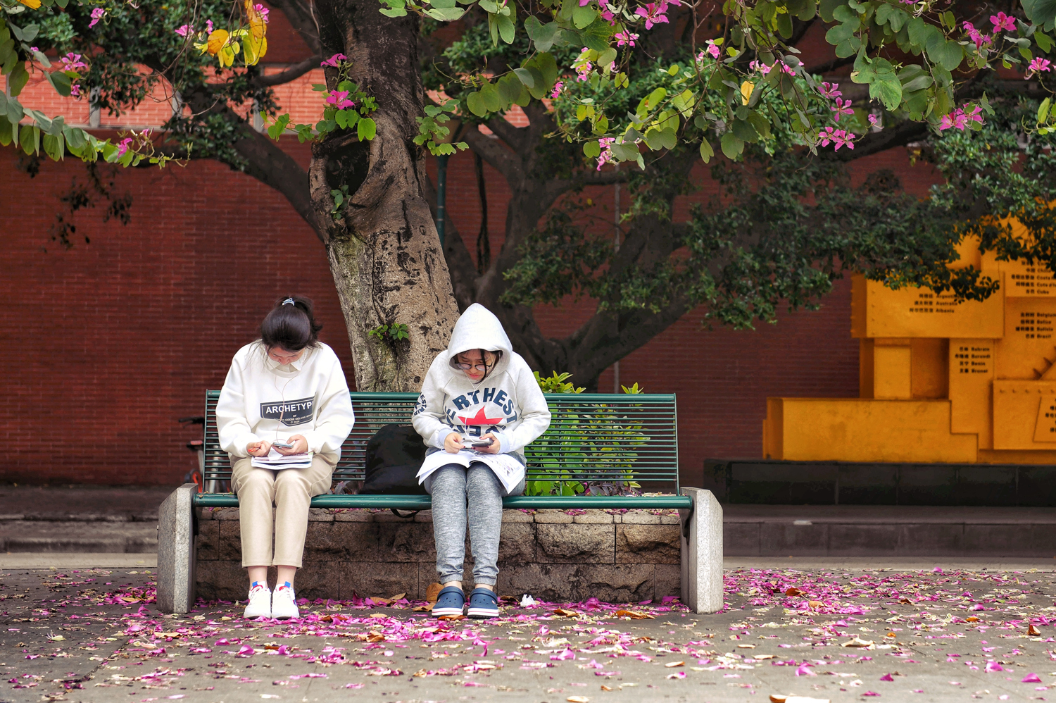 盘点那些美丽的校园时光,盘点那些美丽的校园