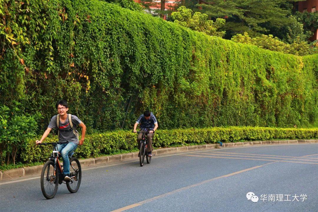盘点那些美丽的校园时光,盘点那些美丽的校园
