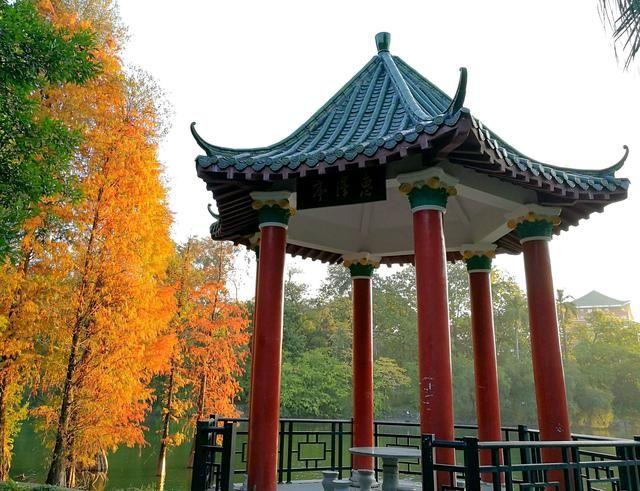 盘点那些美丽的校园时光,盘点那些美丽的校园