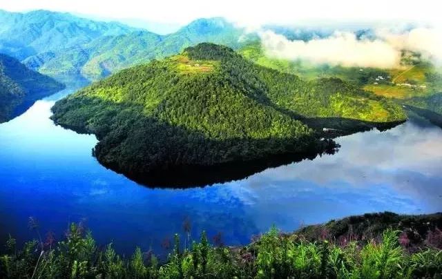 有了绿牌还能拥有大牌,有了绿牌再去拍蓝牌