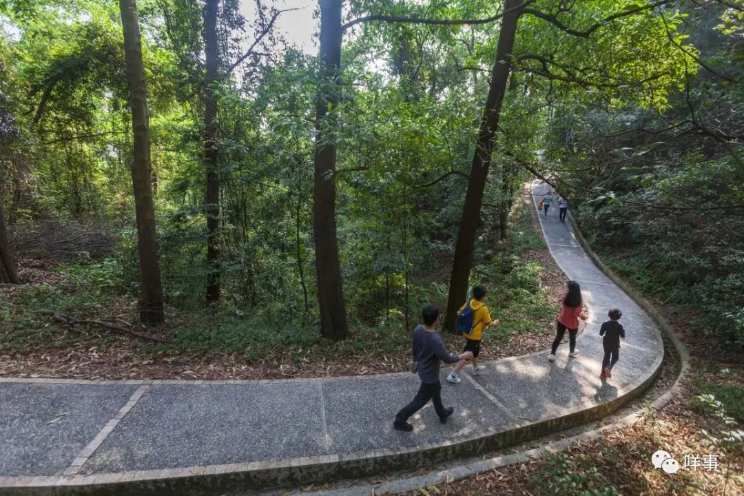 广马交通管制,广马几点钟开跑