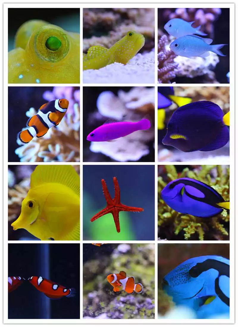 60海缸开缸全记录,1.2米的海缸开缸需要多少费用