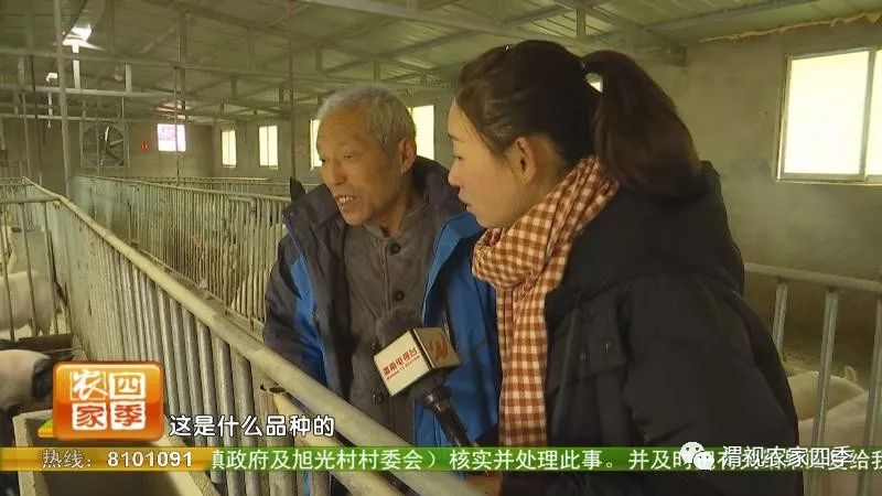 孙堡村的来历,孙堡村简介