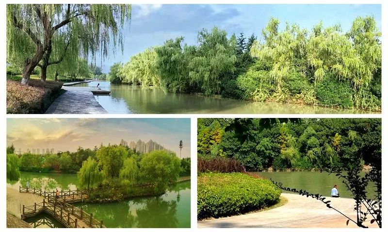 合肥最近需要注意什么,合肥人注意这些区域要停气