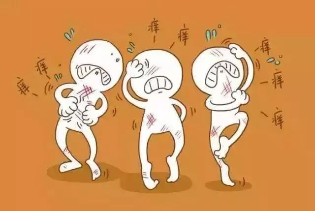 更要命的冷空气杀到！入冬以来最低温要来了！