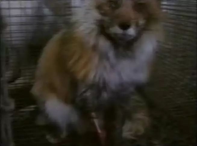 豆瓣9.1这部剧全程高能,豆瓣9.8分以上的电影悬疑中国