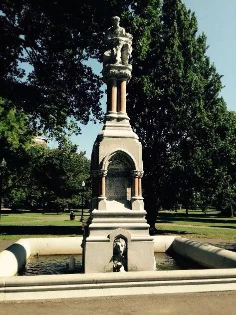 *醚乙**麻醉，科学发明史上最悲怆的故事