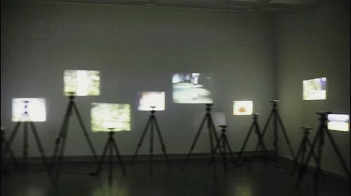 成都怎么玩一天一夜,如何在成都耍一天