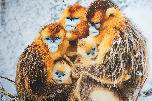 成都怎么玩一天一夜,如何在成都耍一天