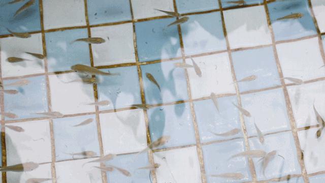 沐浴汗蒸自助餐推荐,南京汗蒸自助餐一体