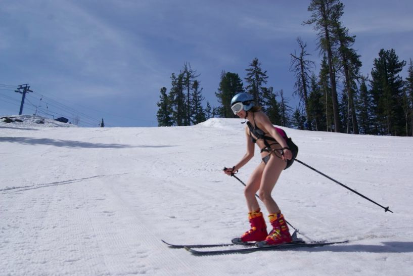 2019年，你应该去亚寒带看看