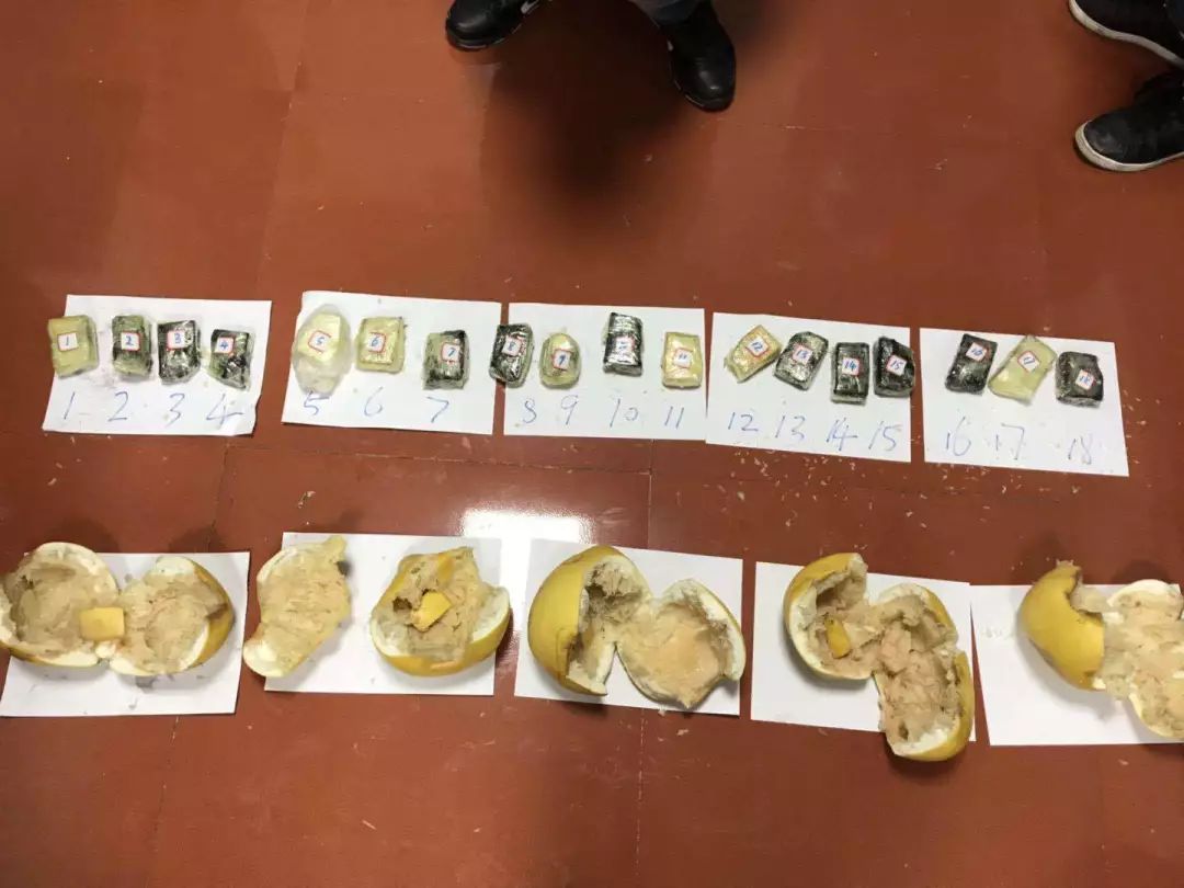 无毒青春健康生活活动效果,无毒青春禁毒护航