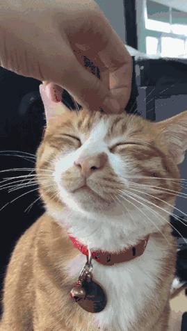 每日一笑你觉得哪个更好笑,每日一笑差距