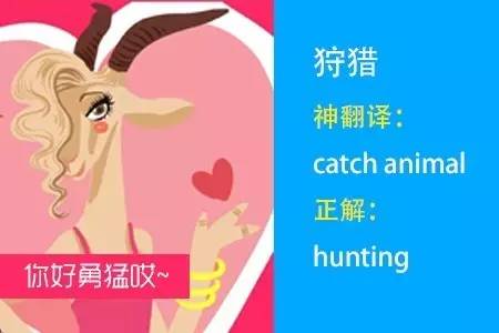 四六级神翻译,四六级翻译神评