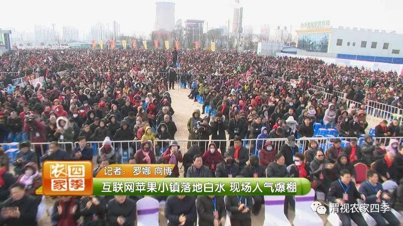 互联网苹果小镇接待中心,白水互联网苹果小镇招商直播