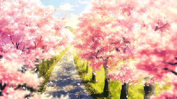 万花丛怎么拍照,万花丛中拍照技巧