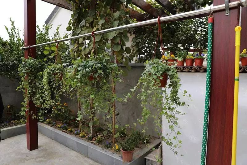 萧山全国十大村,萧山第二批美丽城镇