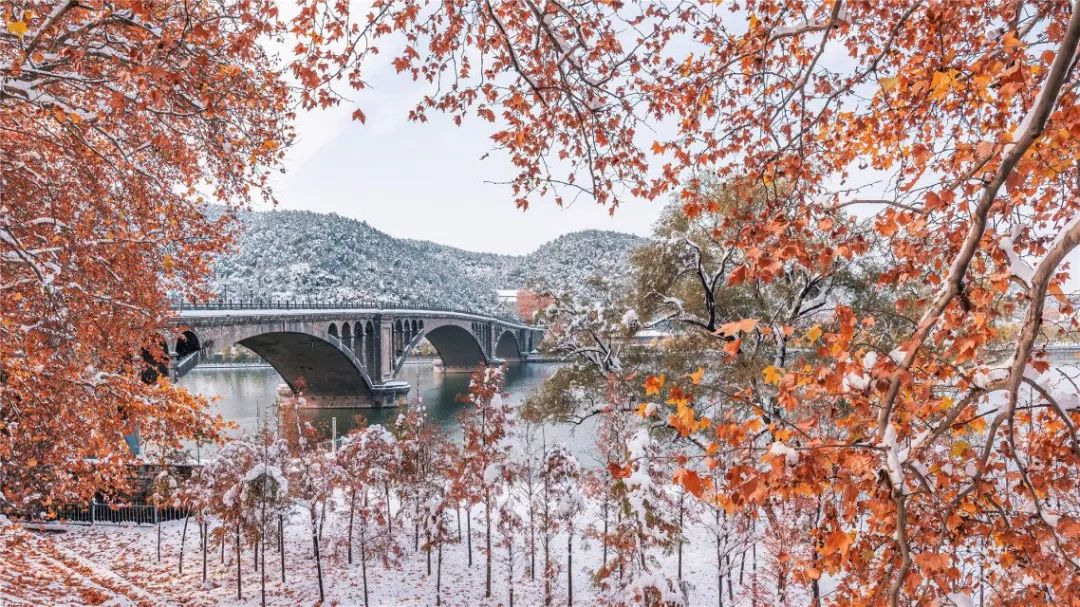 洛阳外地户口办旅游年票,洛阳旅游新政策