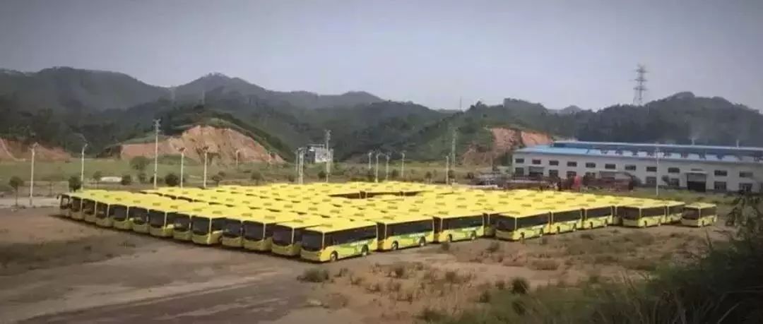 45台新能源公交车投入运营,新能源公交免费使用