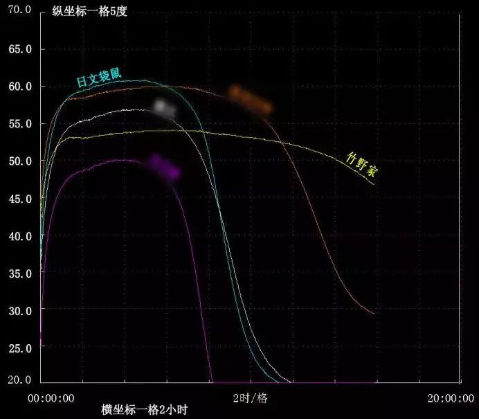 竹野暖足贴,屈臣氏竹野家暖身贴