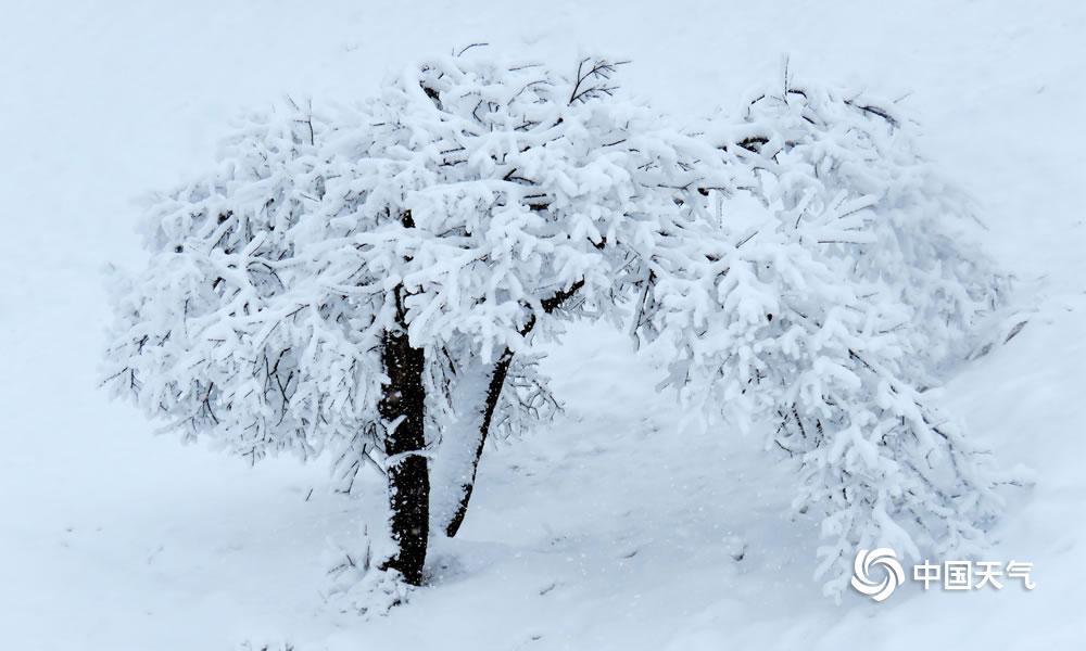 四川西岭雪山远观,成都西岭雪山美成童话世界