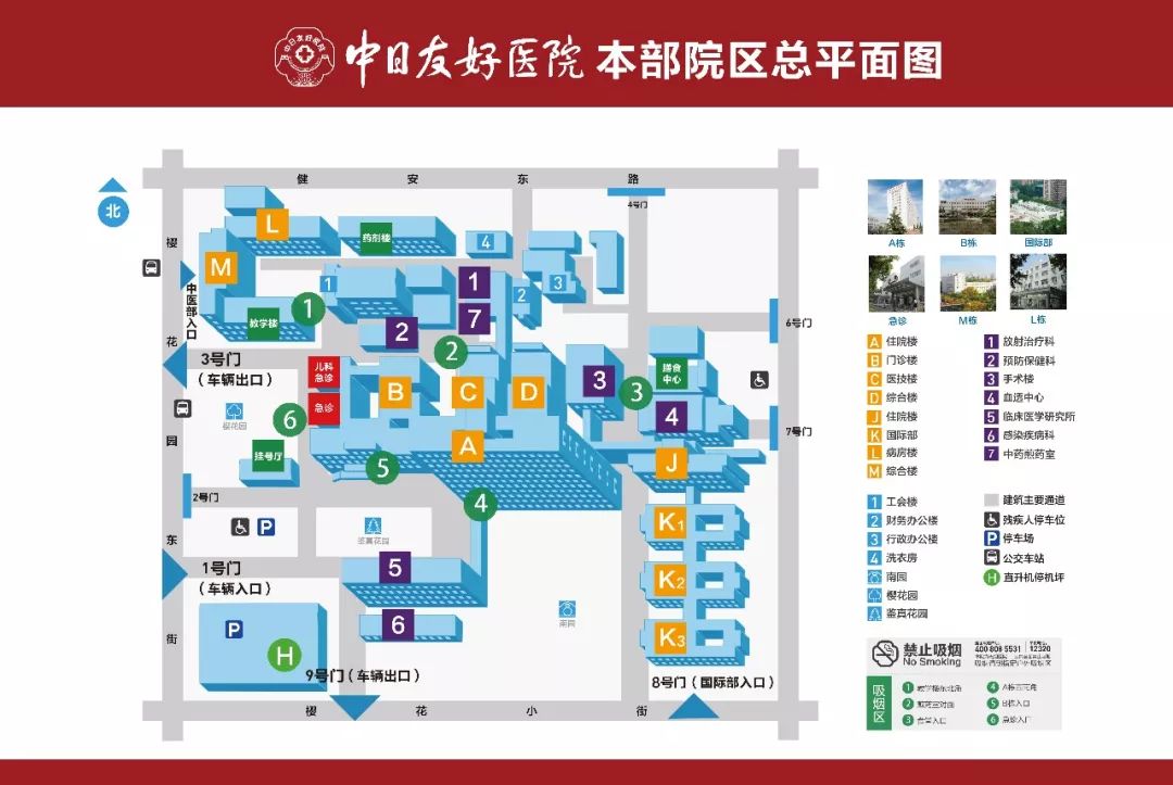 抽血科普知识类短视频,抽血后科普宣教