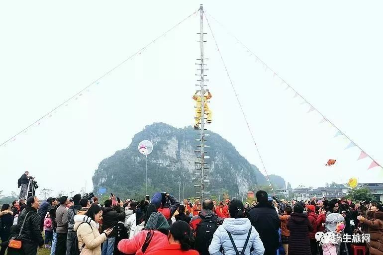 上林葵花节景点,广西上林葵花文化旅游节