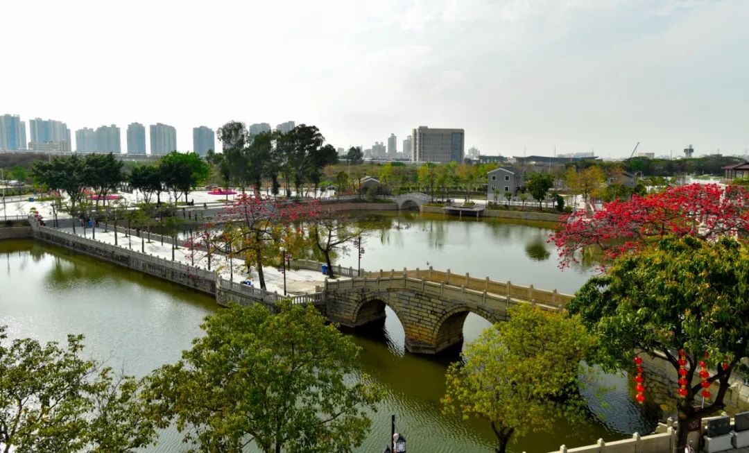 这就是新桥,这里是新桥小学