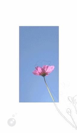 微信新版最新功能教程,微信最新版本功能8.0.4发视频