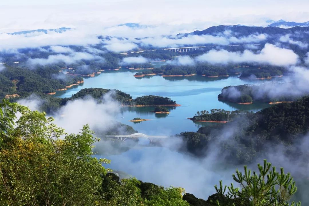 什么是广州市区,什么是桃子女孩