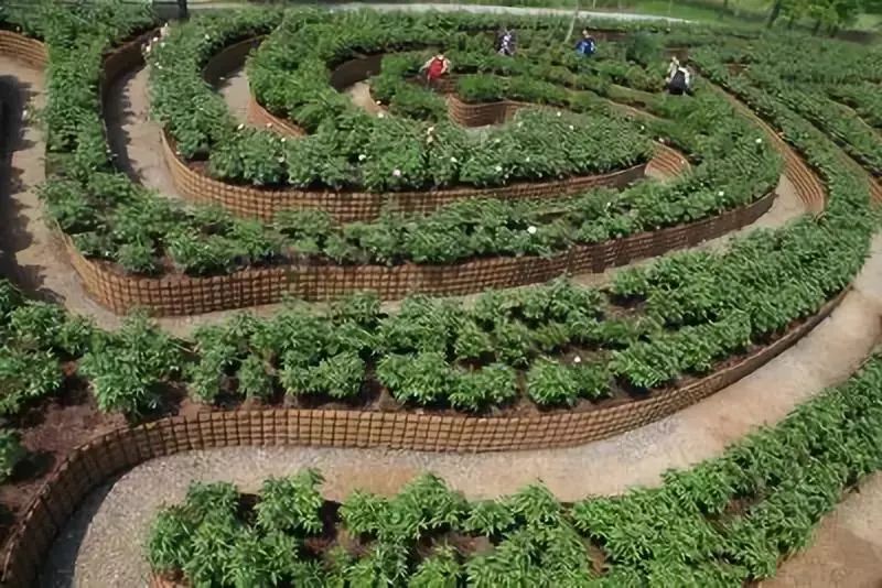 鍐滃簞鍐滃満鍒涙剰鏅,浼戦棽鍐滃簞鐗硅壊鏅