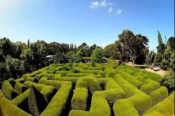 鍐滃簞鍐滃満鍒涙剰鏅,浼戦棽鍐滃簞鐗硅壊鏅