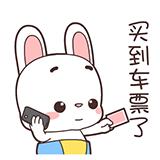 春运抢票的真实经历 (春运抢票骗局大揭秘)