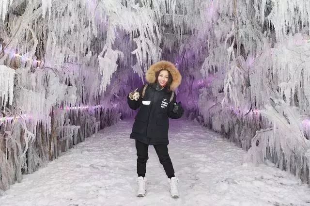 悠游吉林来吉林赏雾,悠游吉林直播回放