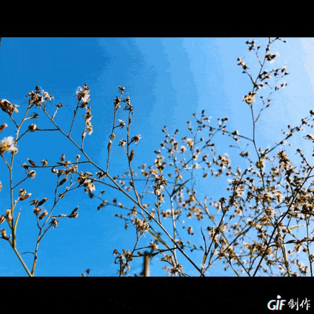 不多，四个理由让你爱上“东马”，人生“巅峰”即刻到达！