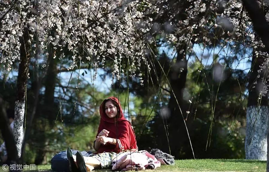 义乌新华社今日新闻,这就是义乌完整视频